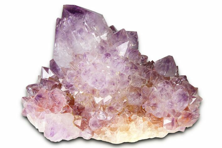Sparkling Cactus Amethyst Crystal Cluster - South Africa #364618